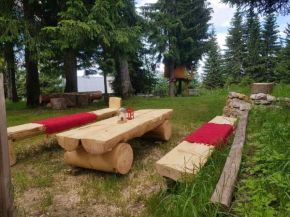 Snow Angel Jahorina